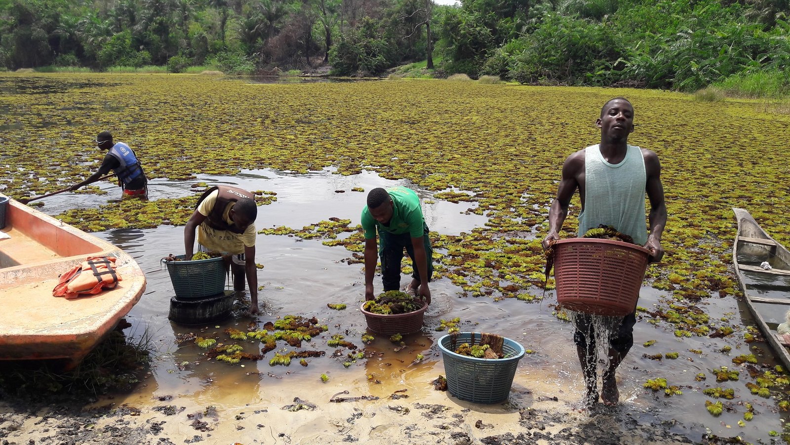 Reduction of the economic vulnerability of local communities