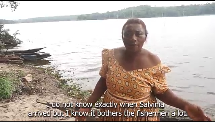 Fishermen lament on the impact of Salvinia on their livelihood.