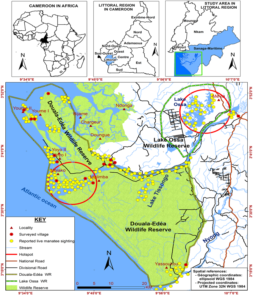 Time to create a  Manatee Sanctuary in Cameroon