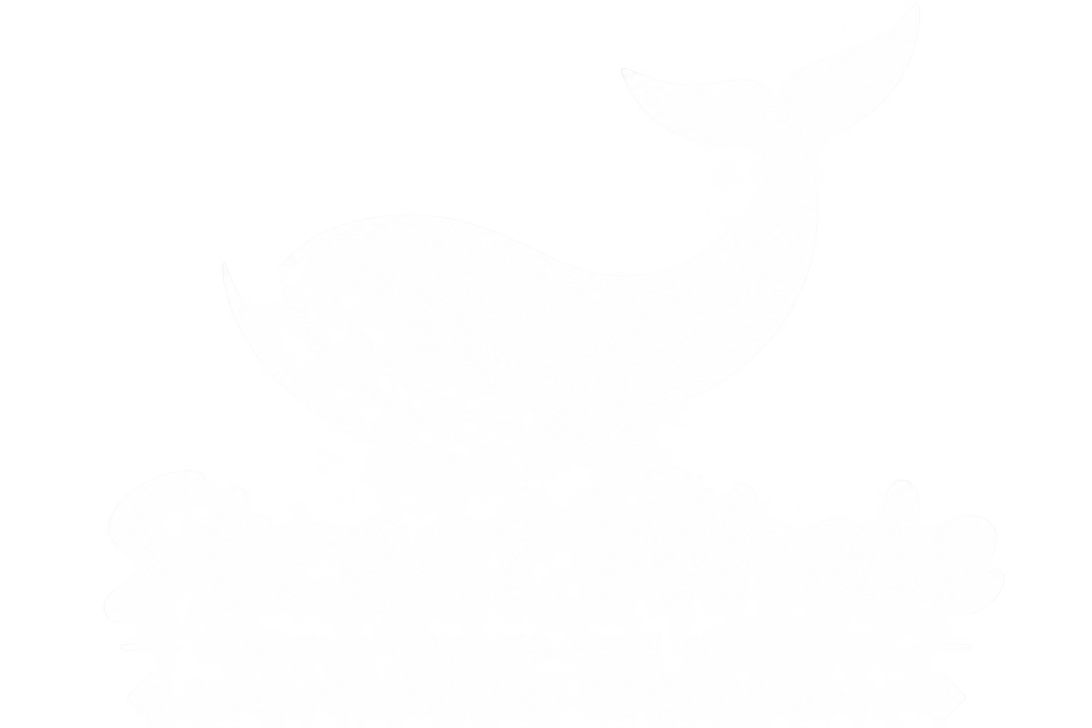 Street Whale 2026